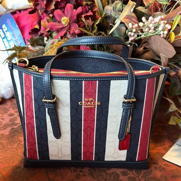 Coach Multicolor Striped Women's Bag - Picture 1 of 16